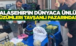Eşsiz lezzetiyle Alaşehir üzümü, Tavşanlı tezgahlarında!