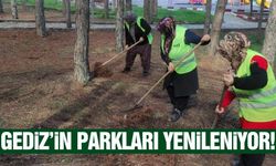 Gediz'de parklara kapsamlı bakım!