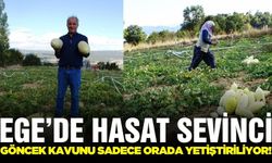 Ege'de 'Göncek Kavunu" hasadı!