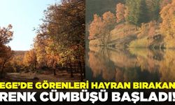 Ege'de renk cümbüşü görenleri kendisine hayran bıraktı