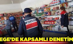 Ege'de ekipler, güvenli gıda için sahada