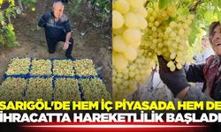 Sarıgöl'de hasat tüm hızıyla sürüyor!