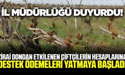 Zirai dondan etkilenen çiftçilere destek ödemeleri yatmaya başladı