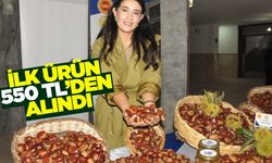 Ege'de 2025 yılı kestane sezonu başladı