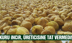 İncir üreticisi zor günler yaşıyor: Ürün elde kaldı, alıcı yok