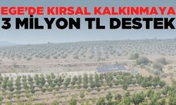 Ege'de kırsal kalkınma desteği üreticilerin hesabında