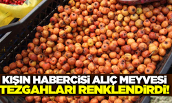 Kışın habercisi 'Alıç' tezgahlarda!