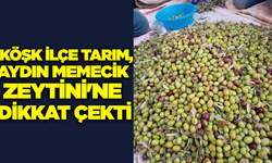 Aydın Memecik Zeytini'ne dikkat çekildi
