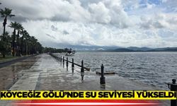 Muğla yağmurdan nasibini aldı!
