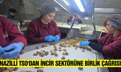 Kuru incirde üretici, tüccar, ihracatçı üçgeni