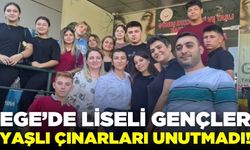 Ege'de yaşlı çınarlar unutulmadı!