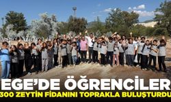 Ege'de 300 zeytin fidanı toprakla buluştu!