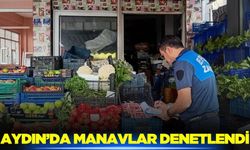Ege'de ekipler manav denetiminde!