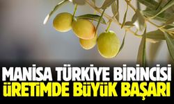 Manisa rekor kırdı! Türkiye birincisi oldu