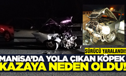 Manisa'da bariyerlere çarpan otomobil sürücüsü yaralandı!