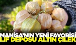 Manisa'da pazarın yeni gözdesi o...