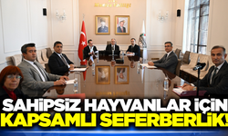 Manisa'da sahipsiz hayvanlara ilişkin tedbirler masaya yatırıldı!