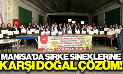 Manisa'da sirke sineklerine karşı doğal çözüm!