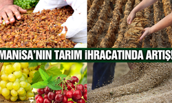 Manisa'nın Tarım İhracatı Yükselişte!