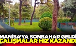 Manisa'da sonbahar bakımı