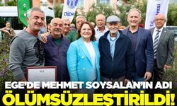 Mehmet Soysalan’ın adı, ilçeye kazandırılan yeni parkla ölümsüzleştirildi
