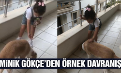Minik Gökçe sokak köpeğini elleriyle besledi