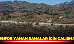 Ege'de yanan sahalar fidan dikimi için hazırlanıyor