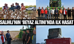 Salihli'de 'Beyaz Altın'da hasat başladı!