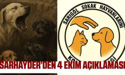 Kutlama değil, kurtarma istiyoruz