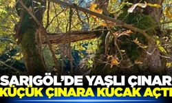 Sarıgöl’de doğanın şaşırtan manzarası