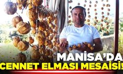 Sarıgöl'de mesai başladı: "Geleneği sürdürüyoruz"