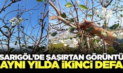 Sarıgöl'de hem şaşırtan hem de umutlandıran görüntü