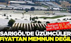 Sarıgöl'de üreticiler mutsuz! İhracat hız kazanmalı