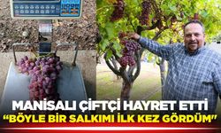Sarıgöl'de dev salkım: Üretici gözlerine inanamadı