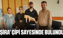 Nazilli’de kaybolan kedi, mikroçip sayesinde bulundu
