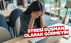 Stresle nasıl başa çıkılır!