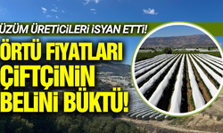 Sultaniye üzümün koruma maliyeti çiftçinin belini büktü!