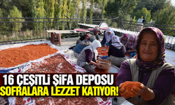 Tam bir şifa deposu: Manisa'da kış sofralarının vazgeçilmezi hazırlanıyor