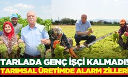 Yaş ortalaması 59’u buldu, tarlalarda genç çiftçi kalmadı!
