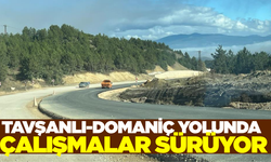 Tavşanlı-Domaniç yolunda çalışmalar devam ediyor