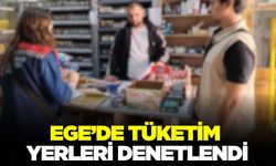Ege'de gıda satış ve tüketim yerleri denetlendi!