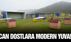 Turgutlu'da can dostlara yeni yaşam alanı