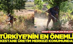 Ege'de hasat sezonu hazırlıkları başladı!
