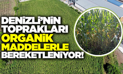 Üreticiden tam not alan proje: TKİ-HÜMAS uygulamalarıyla verim arttı