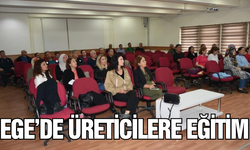 Aydın'da turunçgil yeşillenme hastalığına karşı seferberlik