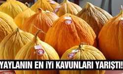 32. Uluslararası Şenlikte Karabağlar Yaylası Kavunları Yarıştı!
