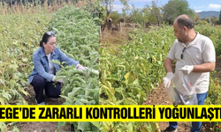 Menteşe'de sebze tarlalarına denetim sürüyor!