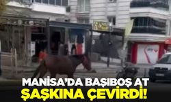 Alaşehir’de başıboş at trafiği birbirine kattı