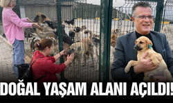 Alaşehir’de can dostları için doğal yaşam alanı hizmete açıldı