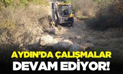 Aydın'da arazi yollarında çalışmalar sürüyor
